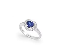 Ring Comete Woman in Gold Zaffiri+Diamanti ANB2762